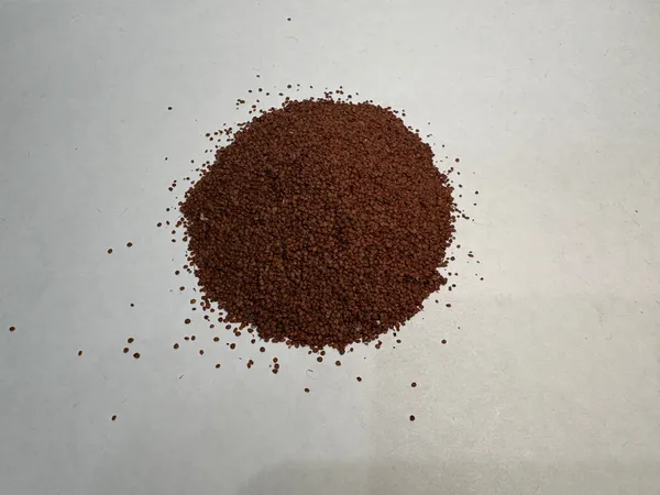 Lajwanti_Seeds_Mimosa_Pudica_Natural_Herbal_Seeds_Botanyaura